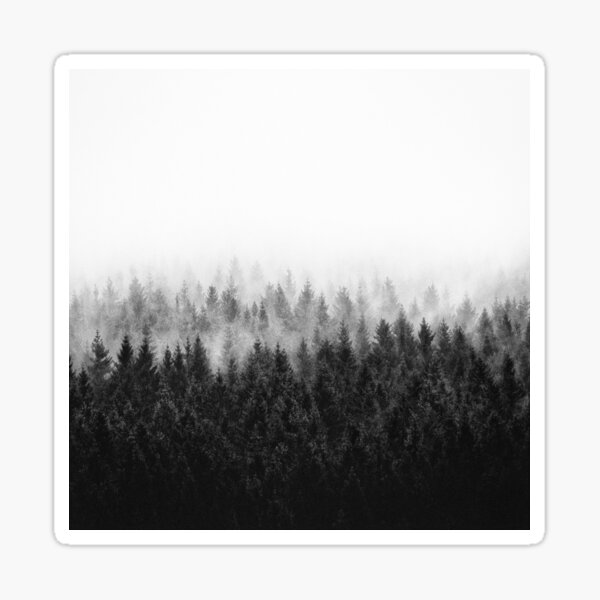 Item preview, High And Low // Dark Misty Romantasy Ravencore Wilderness Forest With Cascadia Trees Covered In Magic Fog designed and sold by Tordis Kayma.