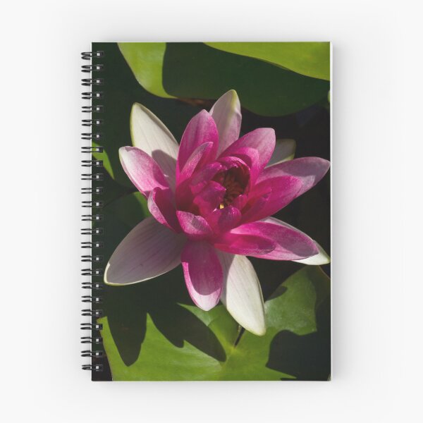 Item preview, Revealing Secrets - Varicolored Waterlily with Fandango Pink Centre designed and sold by Georgia Mizuleva.