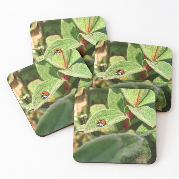 Item preview, Ladybird on a Leaf designed and sold by WildandDivine.