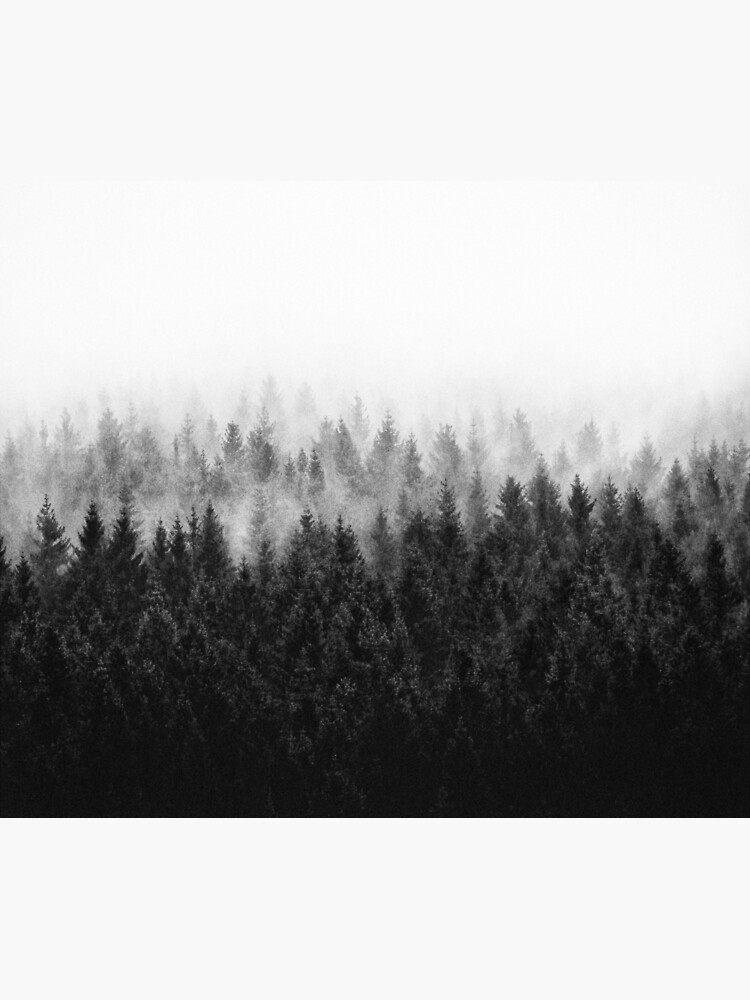 High And Low by tekay