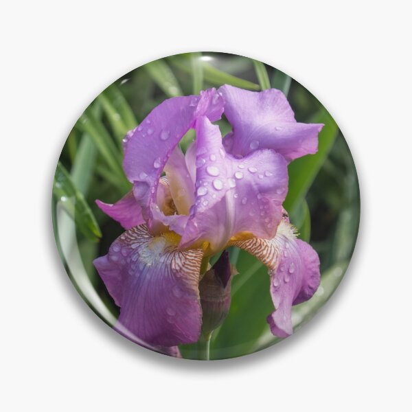 Item preview, Silky Purple Petals - Springtime Rainshower Garden designed and sold by Georgia Mizuleva.