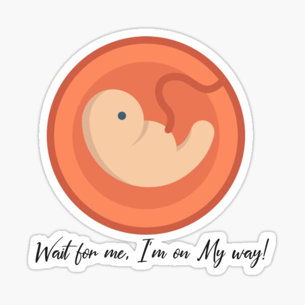 Baby On Its Way Stickers Redbubble