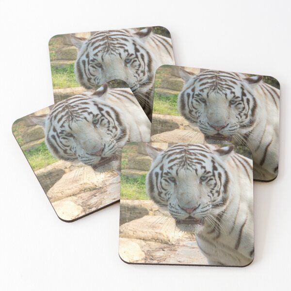 Item preview, White tiger designed and sold by iCimages.net.