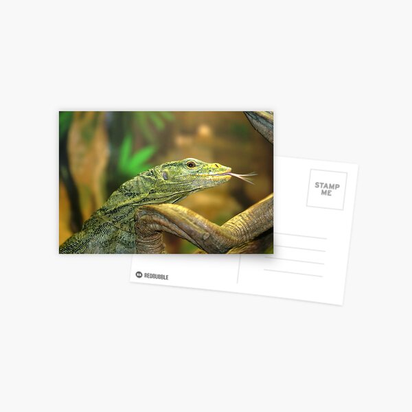 Dragon Postcard
