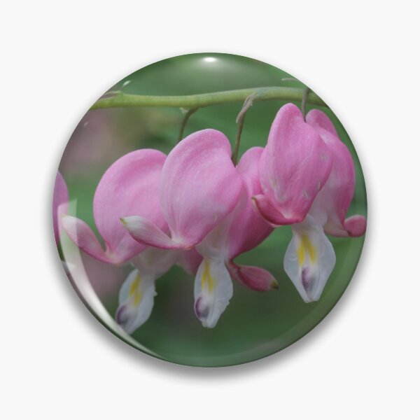 Item preview, Bleeding Heart Flower designed and sold by Sheryl Hopkins.