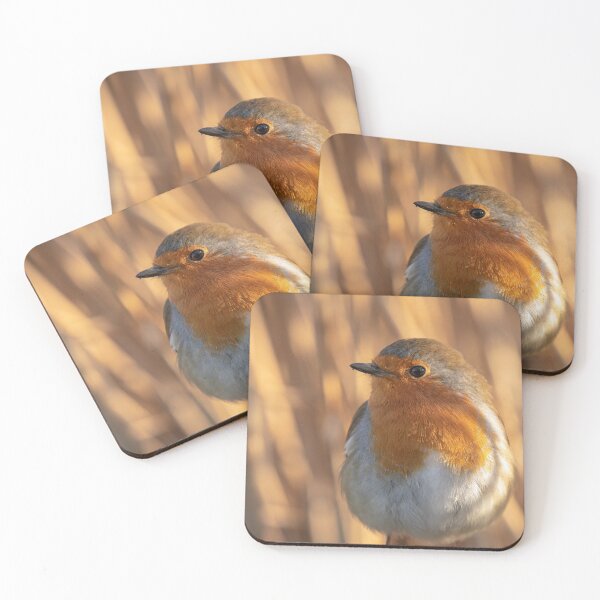 Item preview, Robin dreams designed and sold by AYatesPhoto.