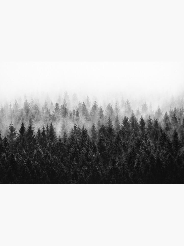 High And Low by tekay