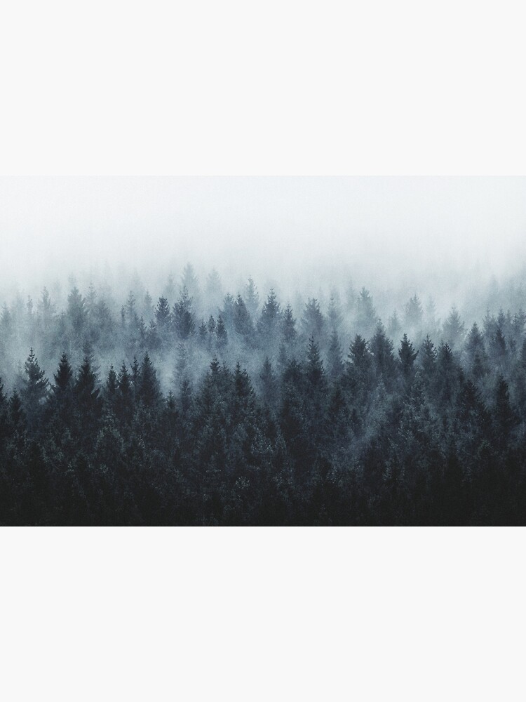 High And Low by tekay