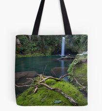 Omanawa timber spider Tote Bag