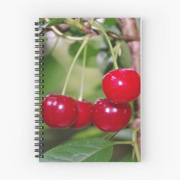 Item preview, Cerezas frescas en el árbol designed and sold by rvjames.