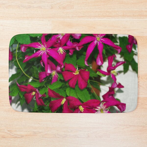 Item preview, Clematis viticella Mme Julia Correvon designed and sold by rvjames.