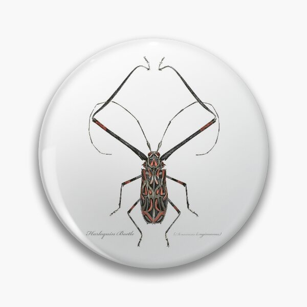 Item preview, Harlequin Beetle etching designed and sold by 40degreesSouth.