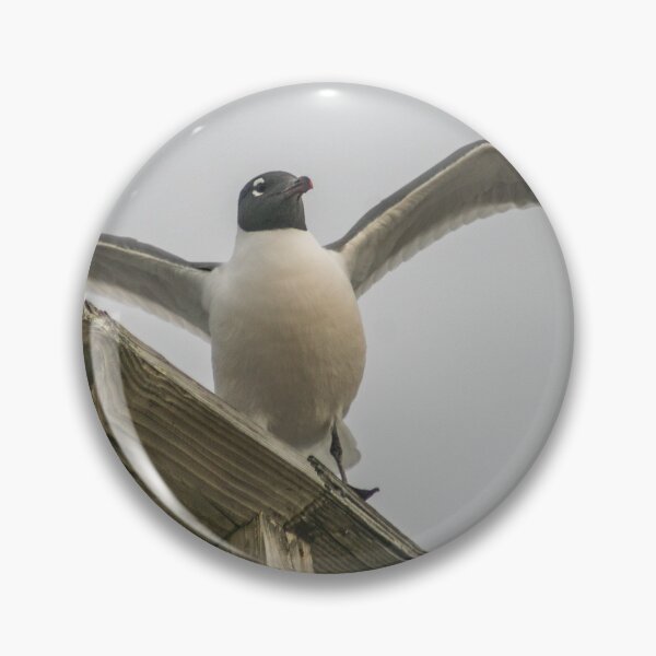Item preview, Gull designed and sold by KensLensDesigns.