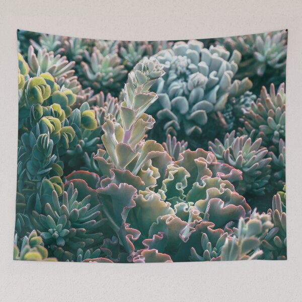 Item preview, Mornings In The Succulent Garden #1 designed and sold by ALICIA BOCK.