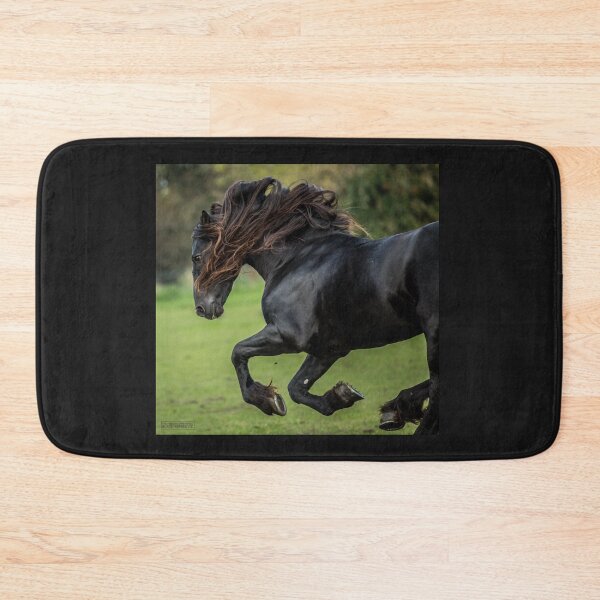 Item preview, The Friesian Experience - Beautiful Black Beauty Friesian Horses designed and sold by Blackhorsesltd.