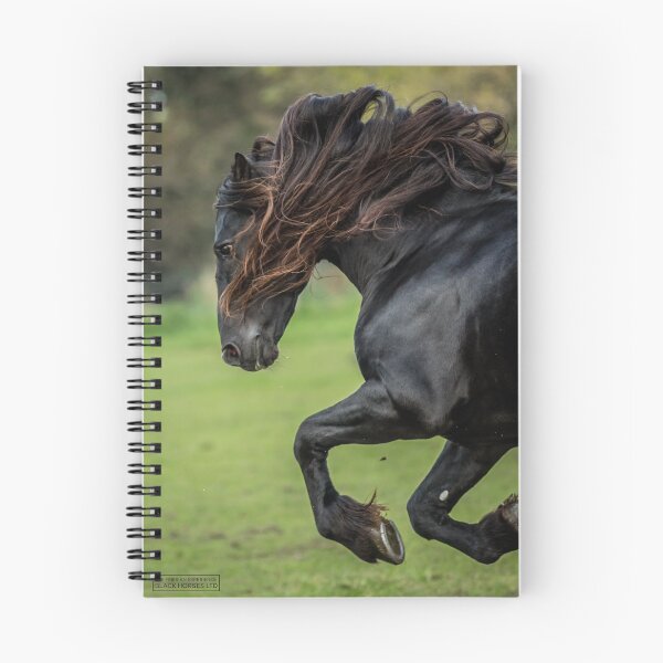 Item preview, The Friesian Experience - Beautiful Black Beauty Friesian Horses designed and sold by Blackhorsesltd.