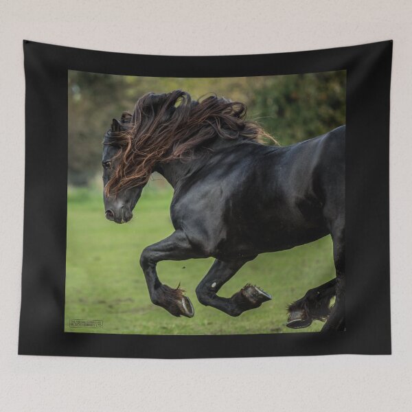 Item preview, The Friesian Experience - Beautiful Black Beauty Friesian Horses designed and sold by Blackhorsesltd.