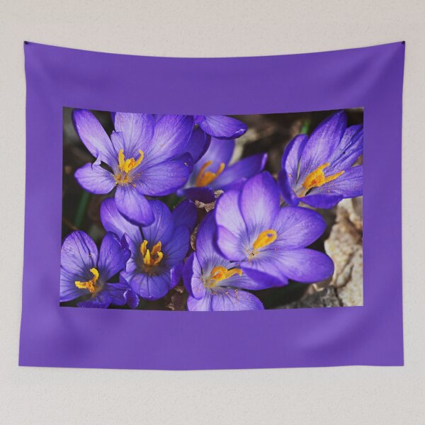 Item preview, Purple Crocuses designed and sold by tinatippettshop.