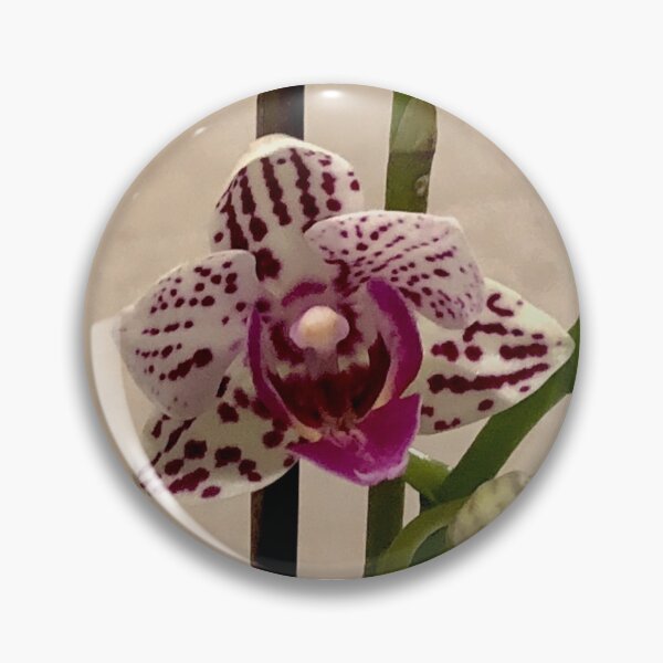 Item preview, Outstanding Orchid  designed and sold by KazM.