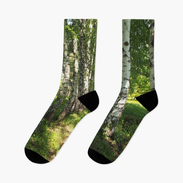 Item preview,  birch forest designed and sold by TatianaAn.