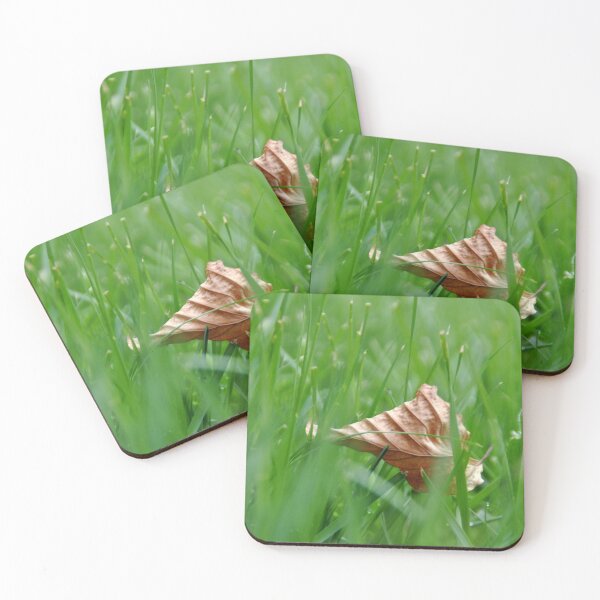 Item preview, Hide and Seek designed and sold by Photography  by Mathilde.