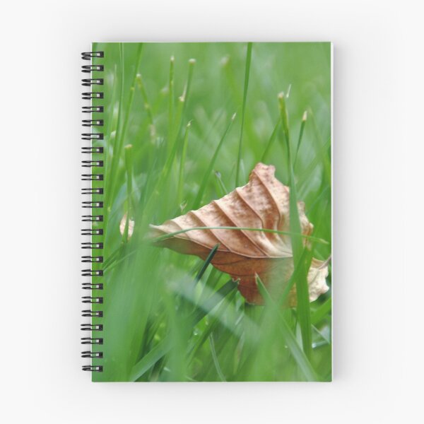 Item preview, Hide and Seek designed and sold by Photography  by Mathilde.