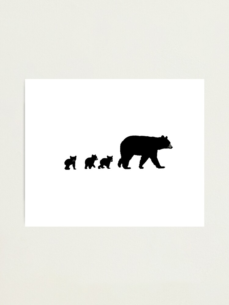 Momma Bear With Her Cubs  Bear, Bear pictures, Grizzly bear