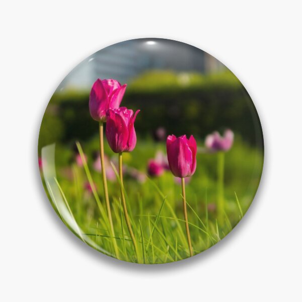Item preview, Tulips In The Windy City designed and sold by mljdwhite.