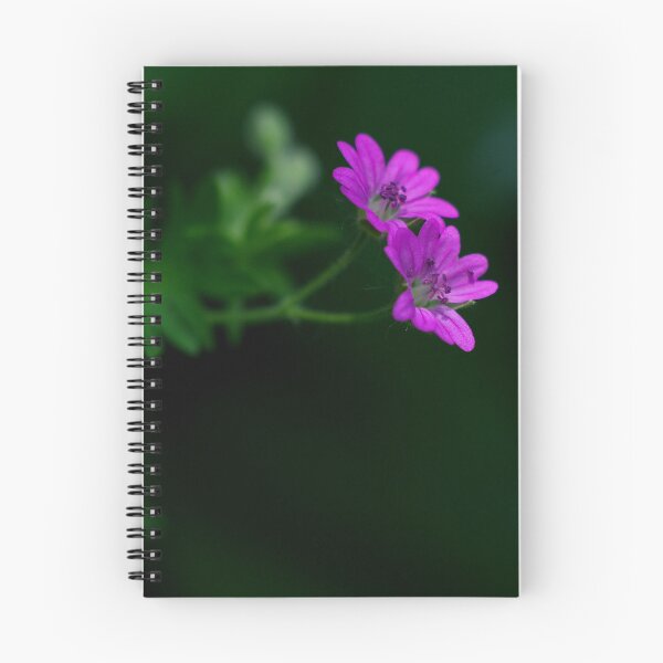 Item preview, Pink Herb Robert Miniature Geranium With Its Lovely Pearl Textured Petals designed and sold by Fleurtje Eliza.