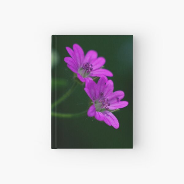 Pink Herb Robert Miniature Geranium With Its Lovely Pearl Textured Petals Hardcover Journal