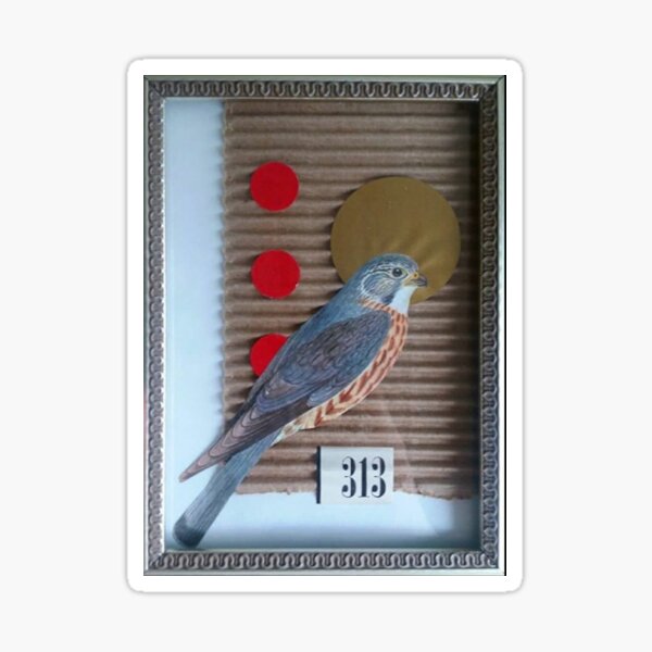 Corrugated Hawk Sticker