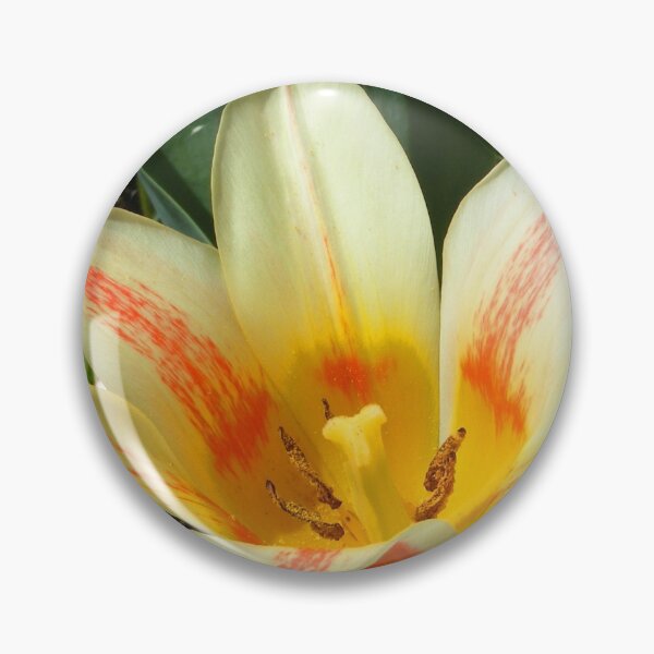Item preview, Tulip designed and sold by TatianaAn.