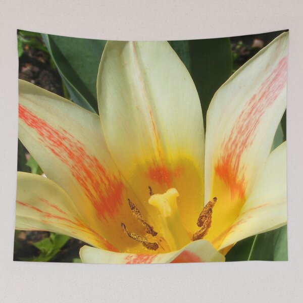 Item preview, Tulip designed and sold by TatianaAn.