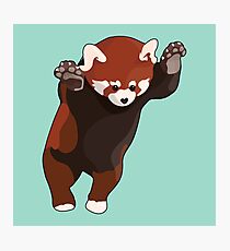 Lámina fotográfica Panda rojo emocionado