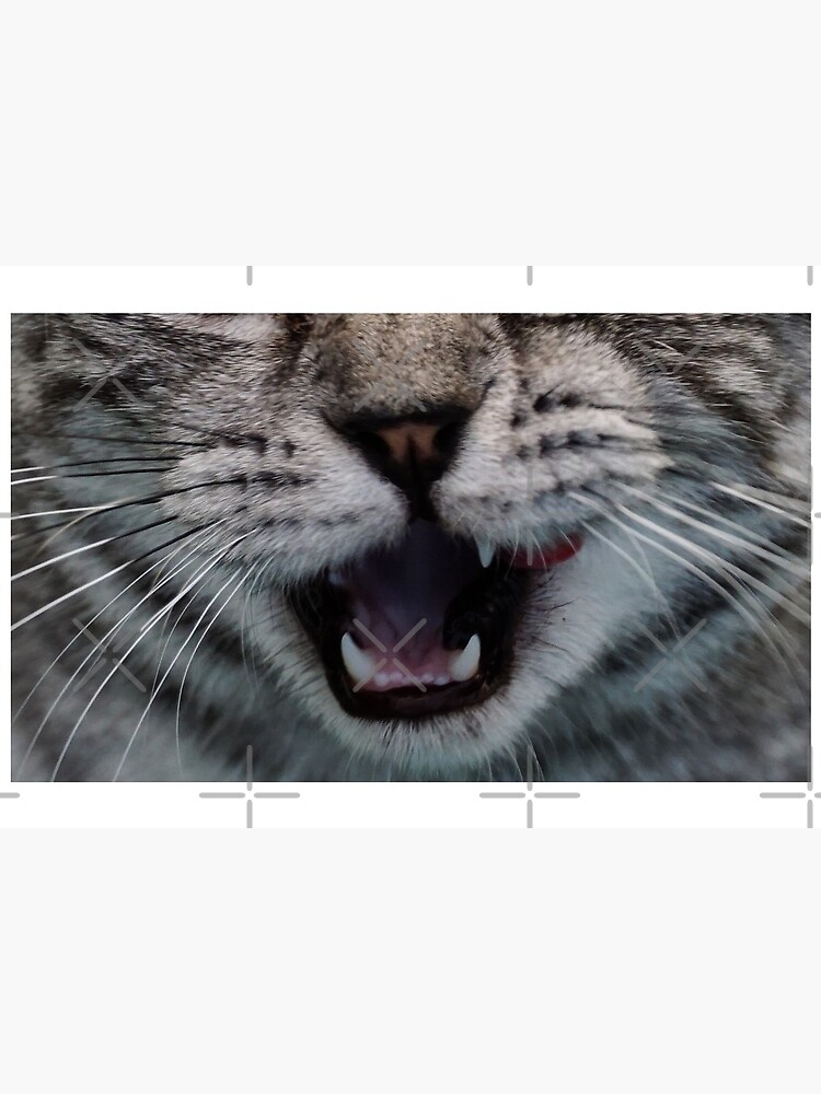 "Snarling Tabby Cat Face Protective Mask" Mask for Sale by FullyMasked