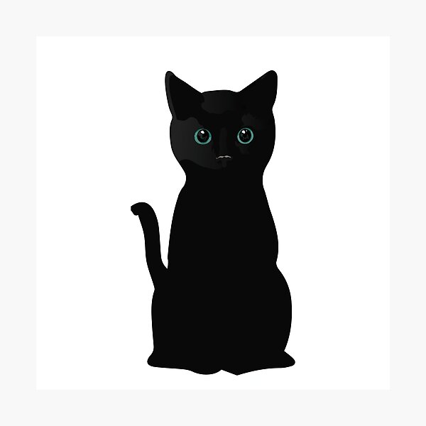 Kitten Eyes Photographic Print