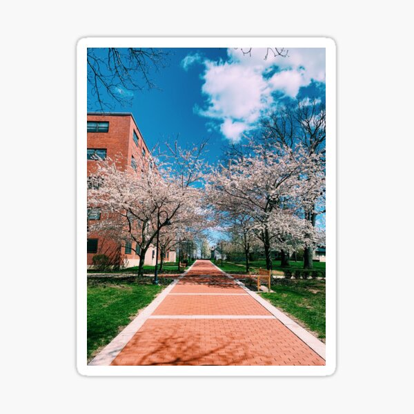 Providence College Pathway Sticker