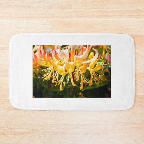 Item preview, Honysuckle (Lonicera periclymenum) on a sunny afternoon designed and sold by Hugh McKean.