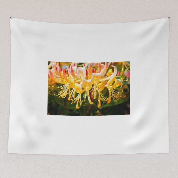 Item preview, Honysuckle (Lonicera periclymenum) on a sunny afternoon designed and sold by Hugh McKean.