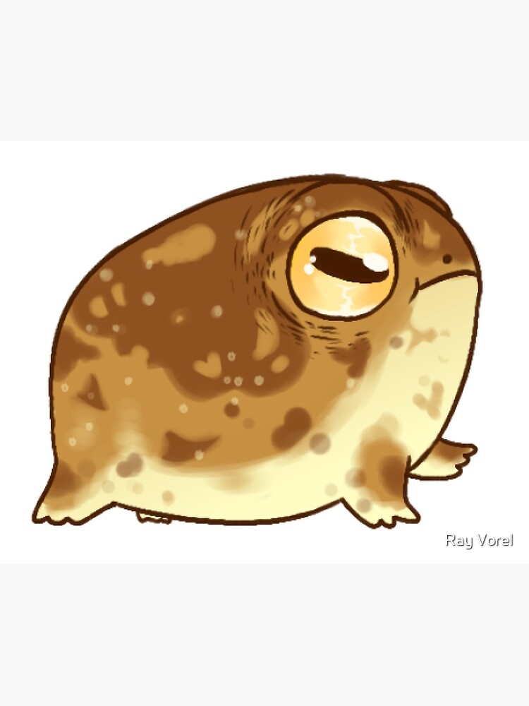 "Desert Rain Frog" Art Print by acldghost | Redbubble