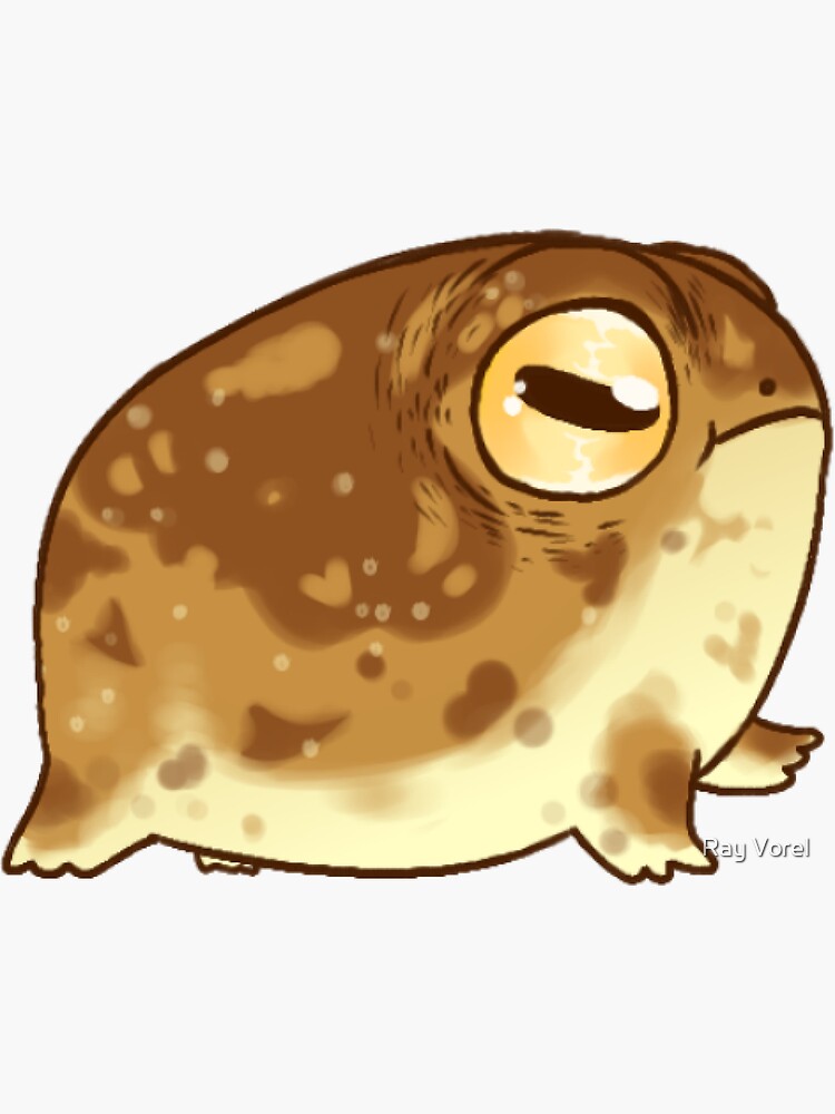 "Desert Rain Frog" Sticker by acldghost | Redbubble