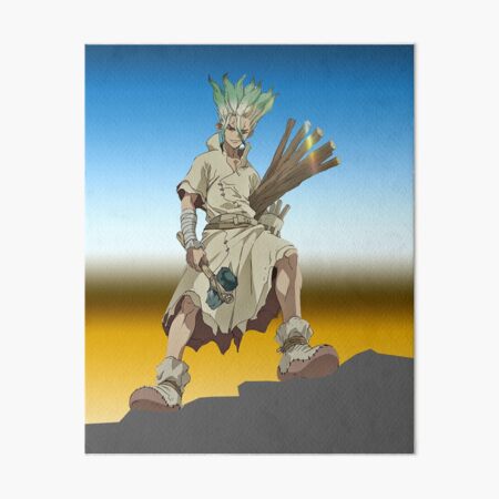 Dr Stone Wall Art Redbubble