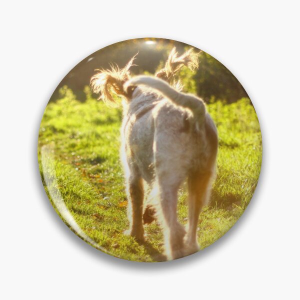Item preview, Ears Akimbo Spinone by heidiannemorris © designed and sold by FOLK ART FUSION.