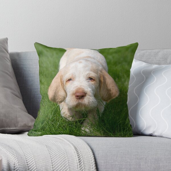 Take me home Spinone Throw Pillow
