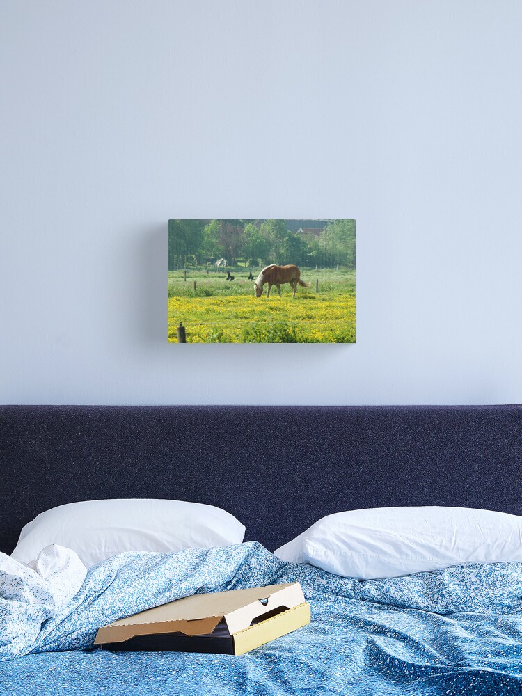 Thumbnail 2 of 3, Canvas Print, Horse in buttercup meadow designed and sold by steppeland.