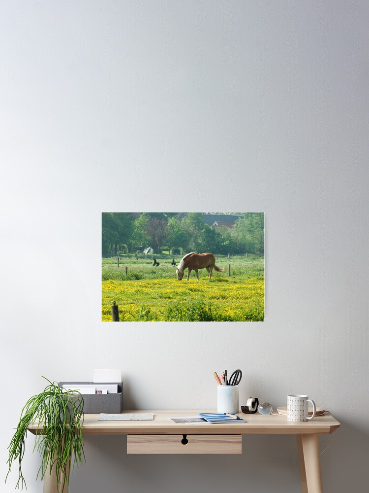 Thumbnail 2 of 3, Poster, Horse in buttercup meadow designed and sold by steppeland.