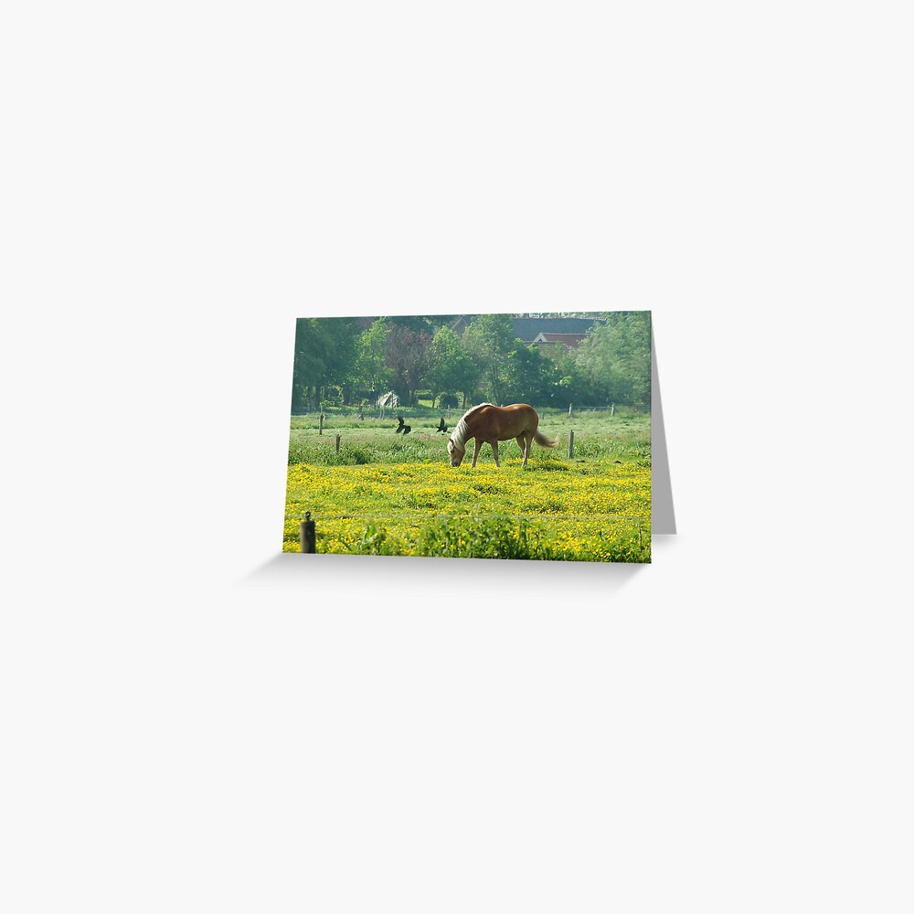 Item preview, Greeting Card designed and sold by steppeland.