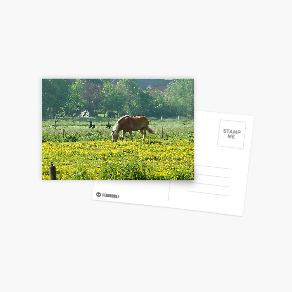 Item preview, Postcard designed and sold by steppeland.