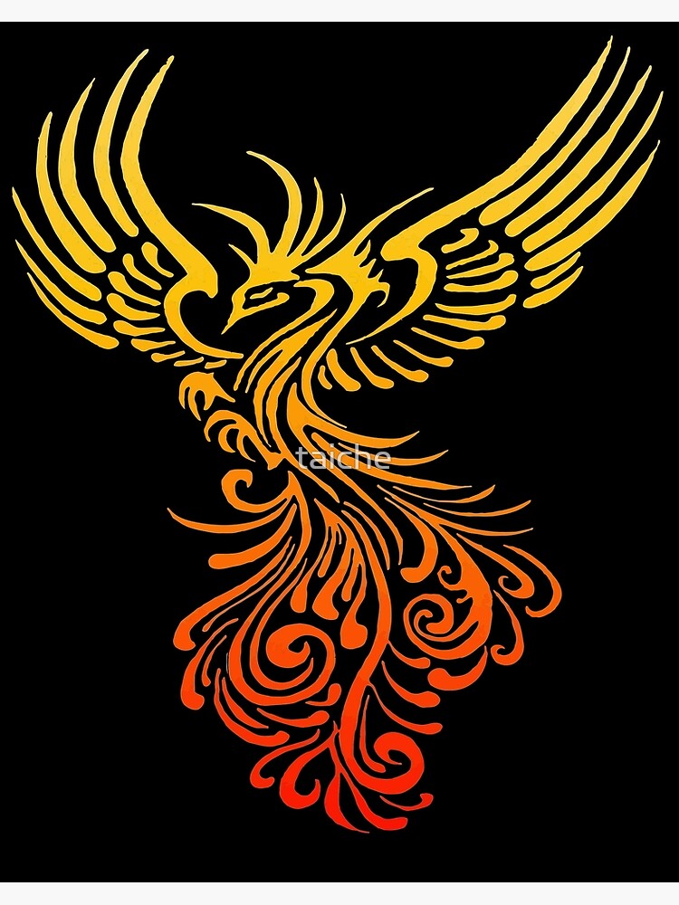 Aus Der Asche Aufsteigen Detaillierte Phoenix Flame Ombre Galeriedruck Von Taiche Redbubble