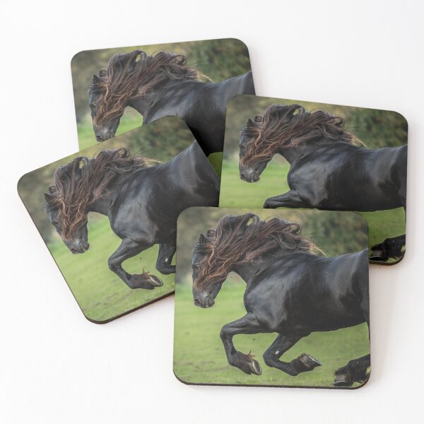 Item preview, The Friesian Experience - Beautiful Black Beauty Friesian Horses designed and sold by Blackhorsesltd.
